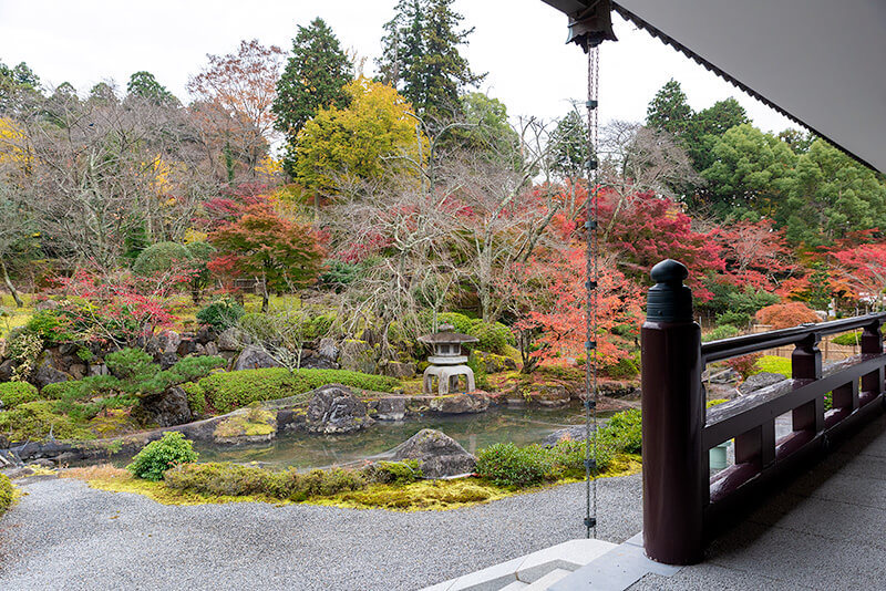 紅葉も楽しめる庭園
