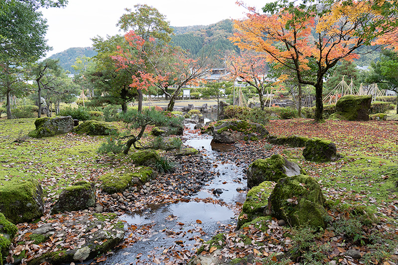 池泉へ導かれる
