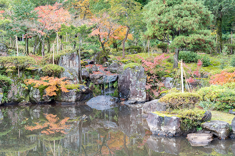 池泉庭園