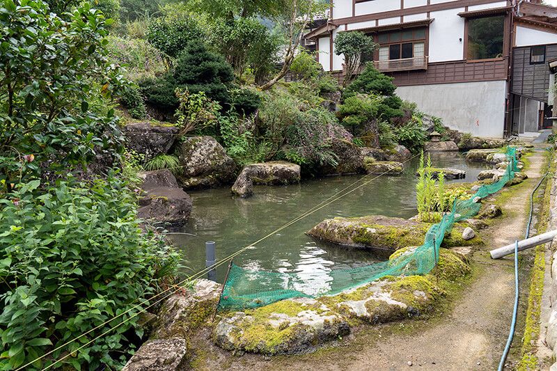 池泉庭園