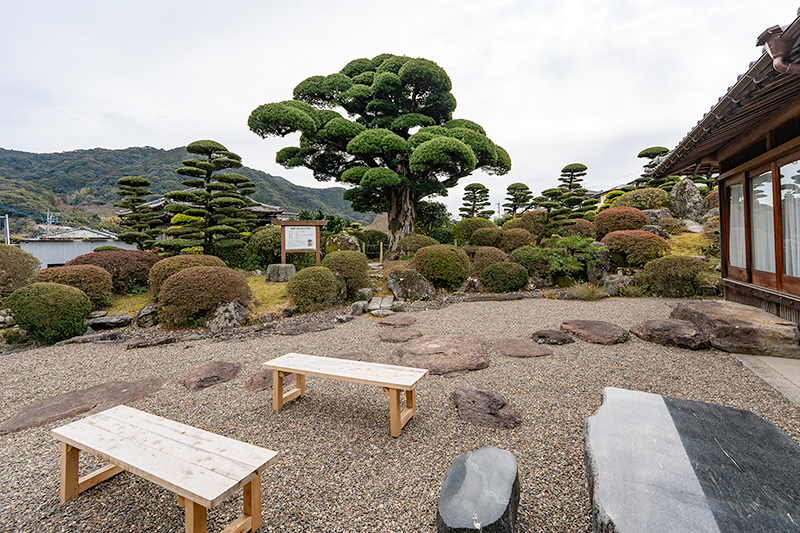 借景