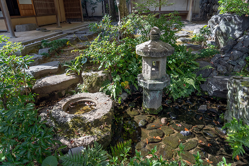 蹲踞