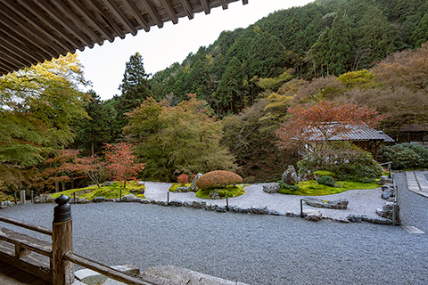 古知谷 阿弥陀寺