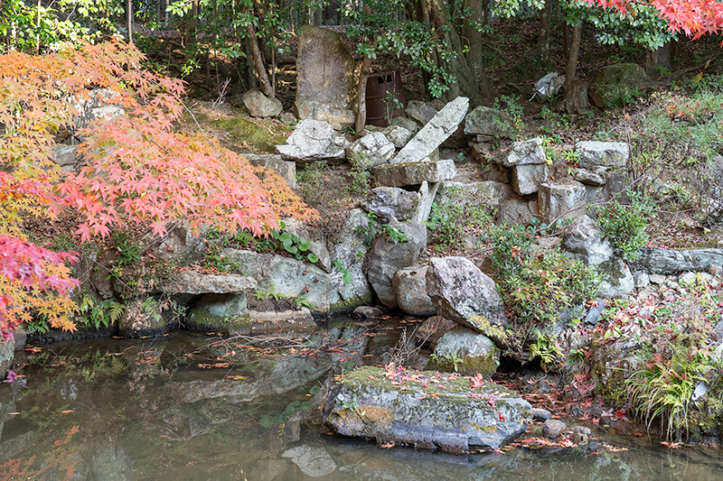 亀頭石