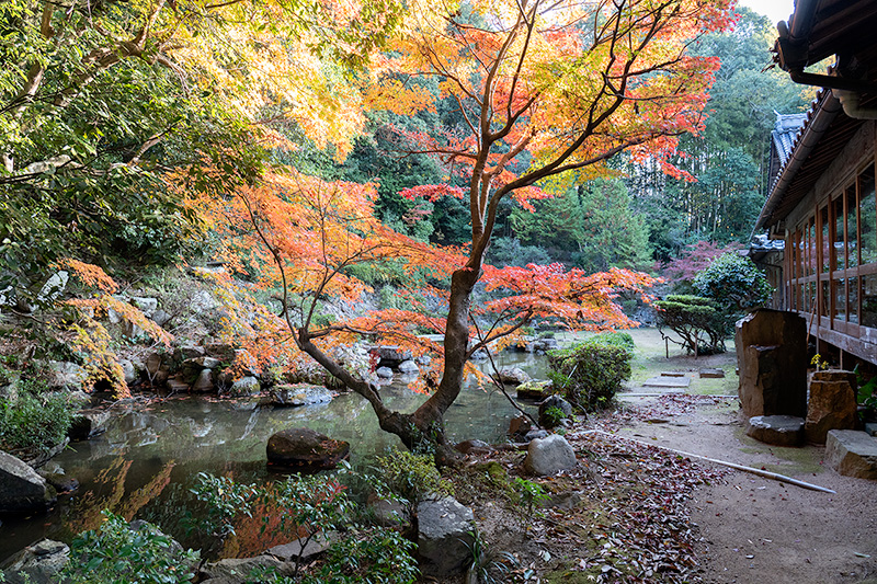 石林園