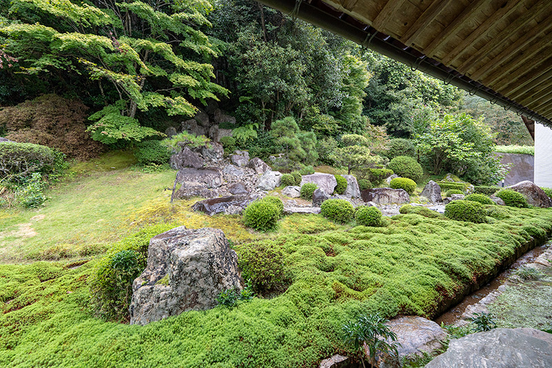 深山幽谷