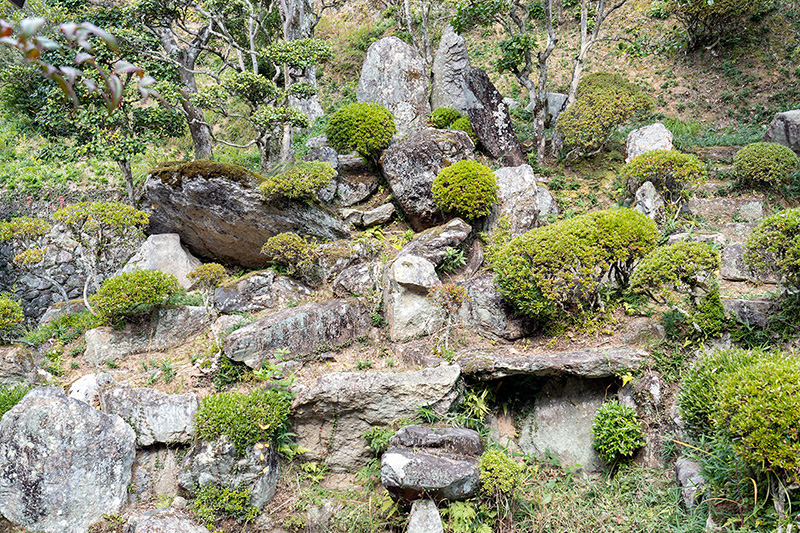 方丈裏庭　池泉庭園