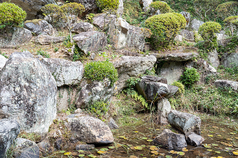 方丈裏庭　池泉庭園