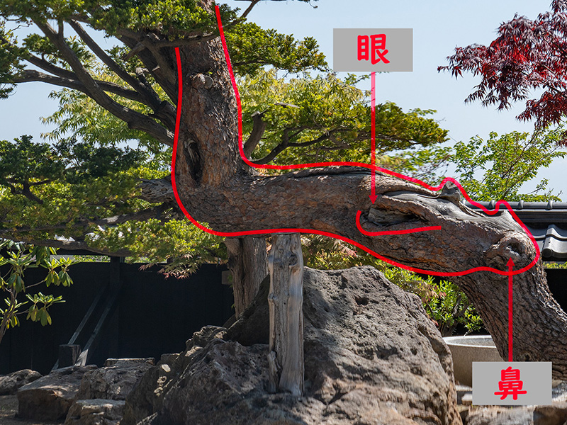 降り龍
