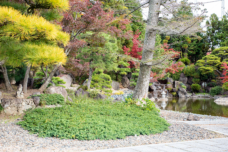 池泉庭園