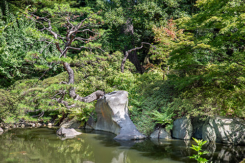 東京都庭園美術館