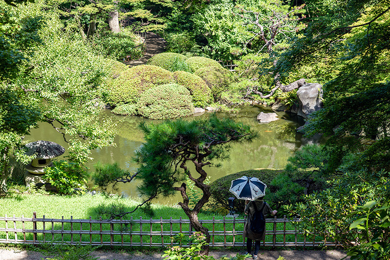 日本庭園を築山から望む。