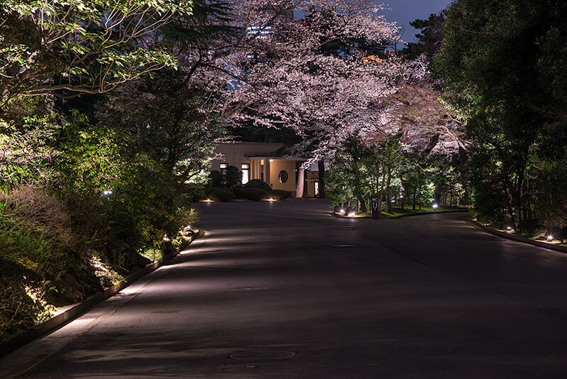 東京都庭園美術館　アプローチ