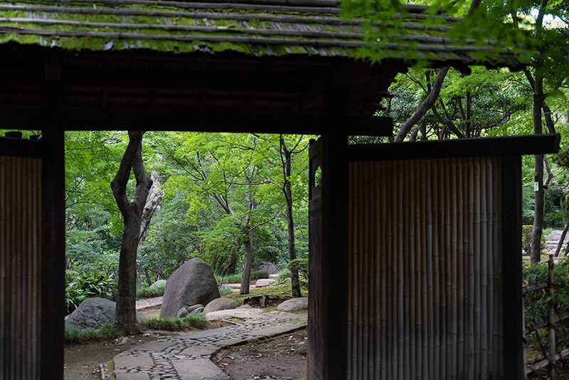 旧朝倉家住宅 庭門