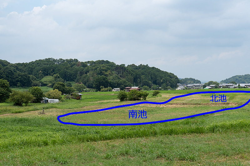 飛鳥京跡苑池遺跡　図解