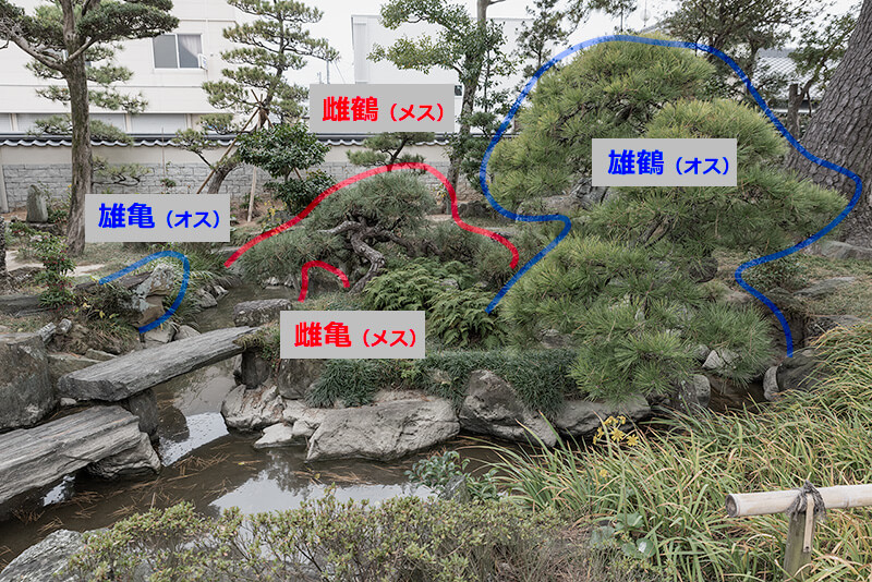 2つの鶴亀