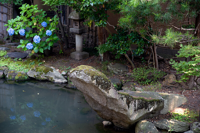 一茶の座禅石を別角度から