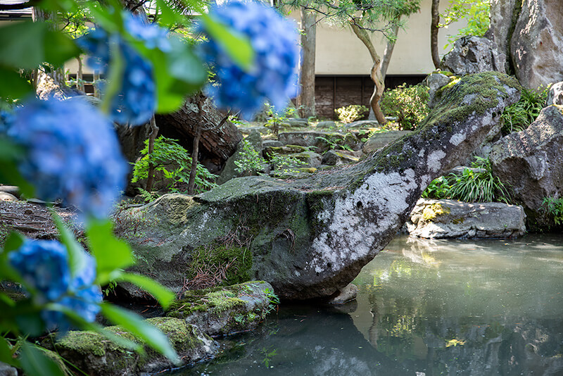 紫陽花と座禅石のツーショット
