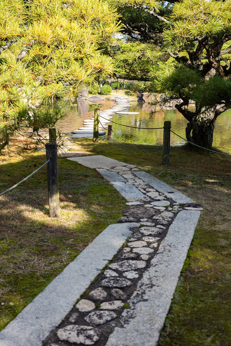 沢飛石の睡蓮橋