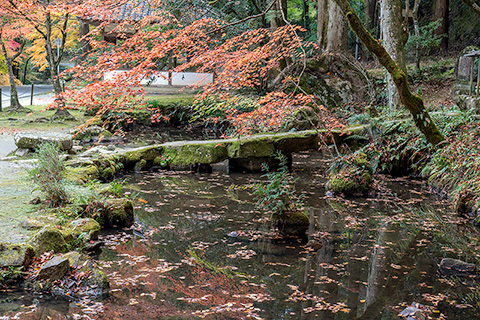佛通寺　崑崗池