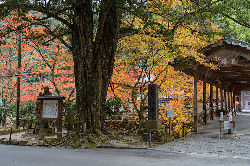 巨蟒橋（きょもうばし）