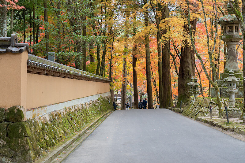 紅葉の名所