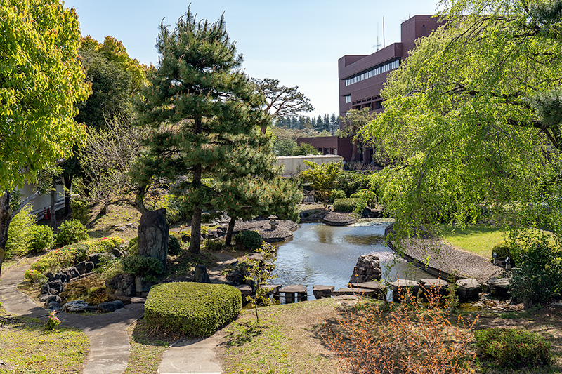 池泉庭園
