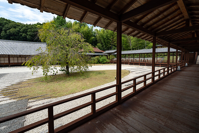 普門園