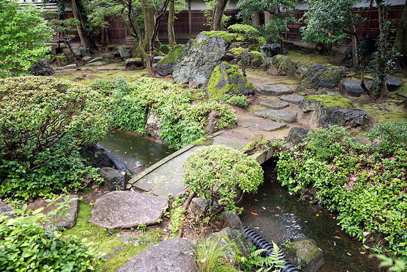 中庭(泉水）