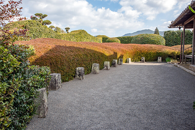 サツキの大刈込みと生垣だけのシンプルな庭園