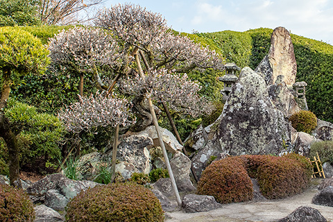 佐多直忠邸庭園（知覧武家屋敷）