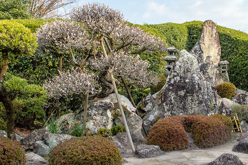 蓬莱山