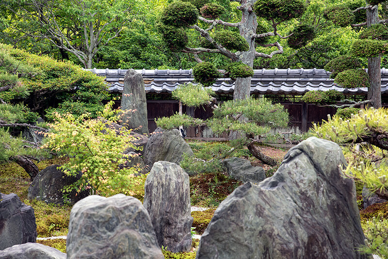 蓬莱山
