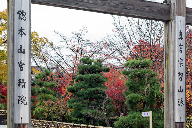 智積院　庭園入り口