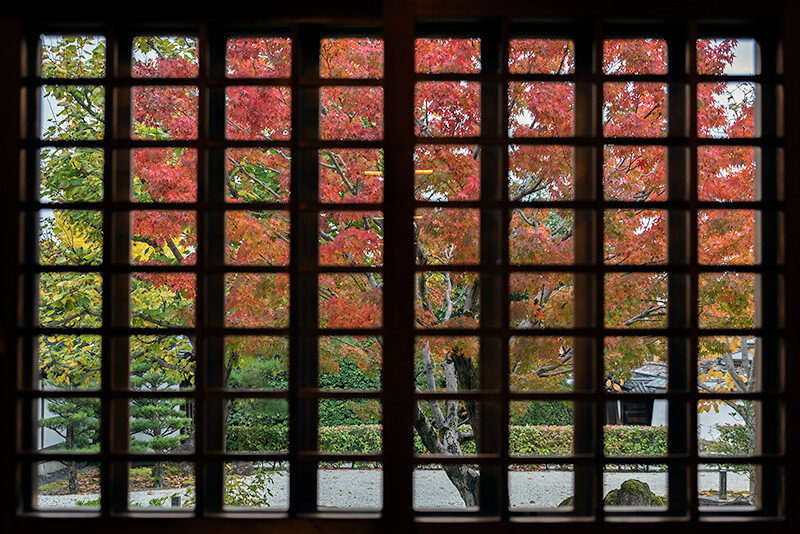 格子越しの紅葉