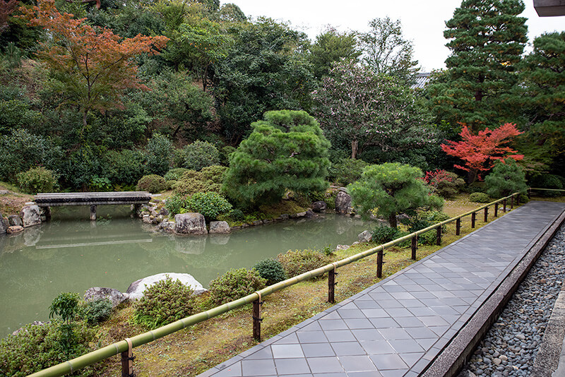 池泉庭園から続く庭園