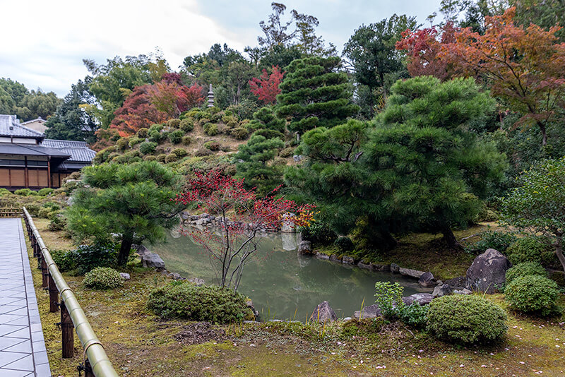 智積院庭園を南から撮影