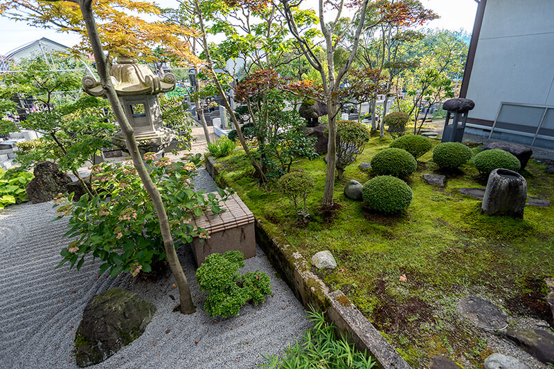 苔庭