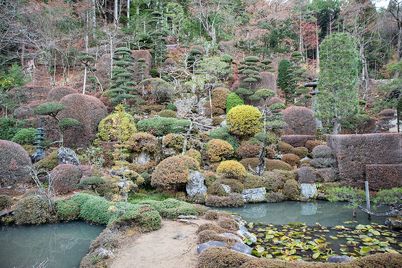 小型の亀島