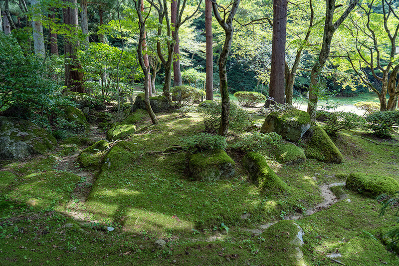 離れ「松濤亭（しょうとうてい）」の前庭
