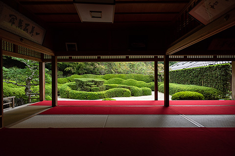 大池寺　蓬莱庭園