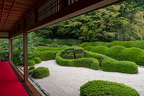 大池寺　蓬莱庭園