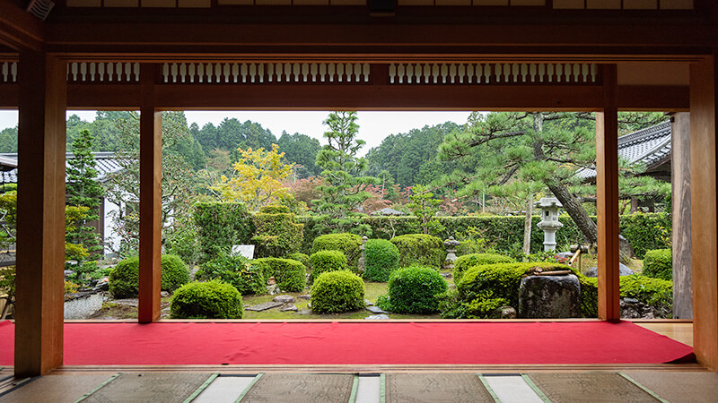 臥龍の松