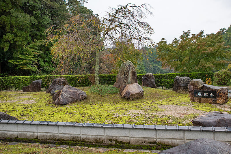 心池庭