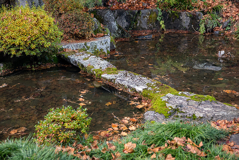 薄くて華奢な様子が美しい石橋