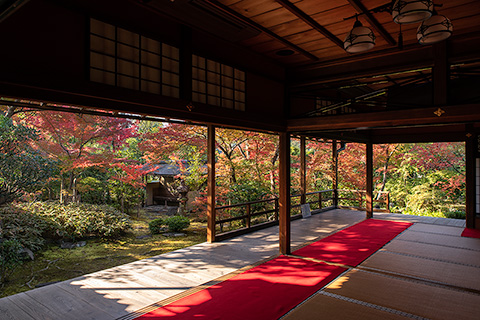 大法院