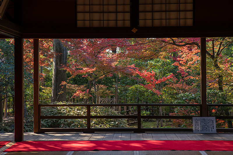 額縁庭園