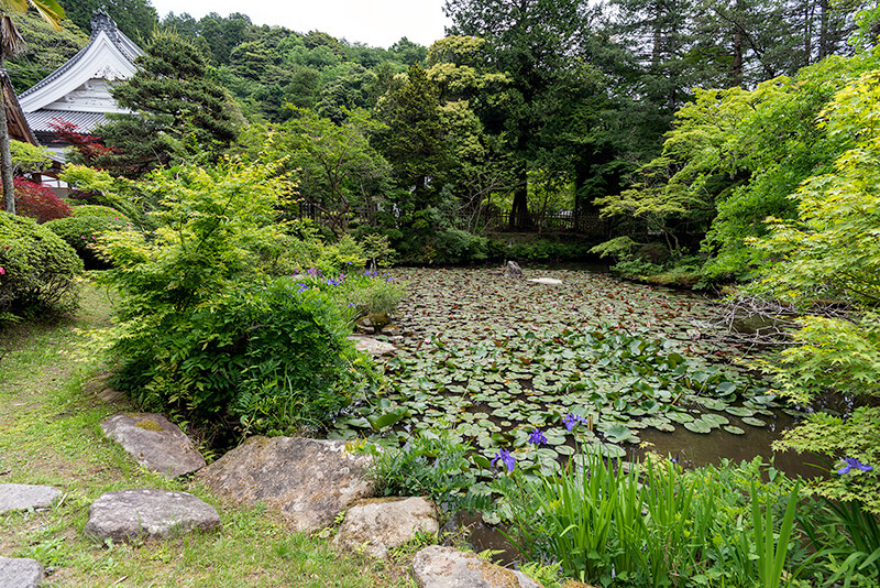 池のある庭園にしか見えない