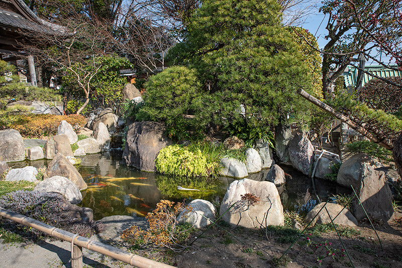 池泉庭園