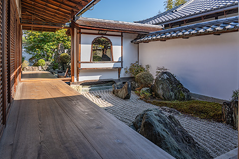 大徳寺 大仙院書院庭園